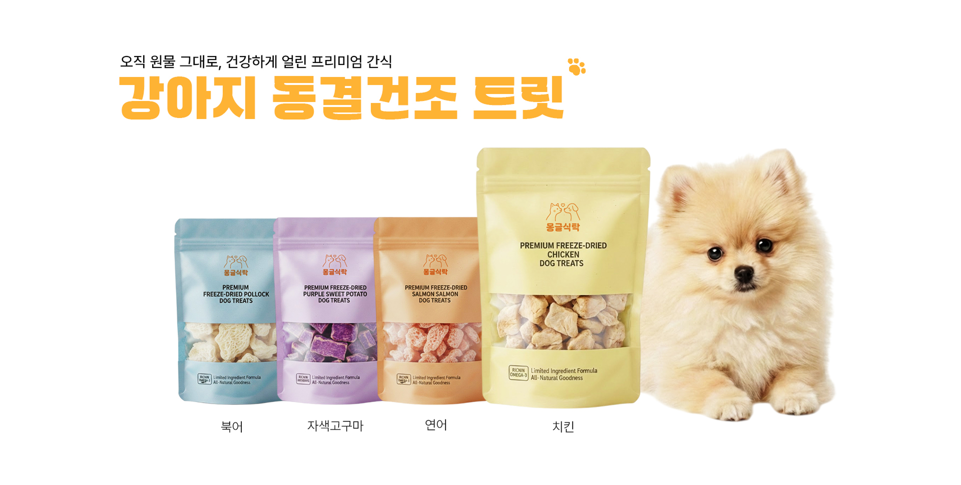 강아지 동결건조 트릿 배너