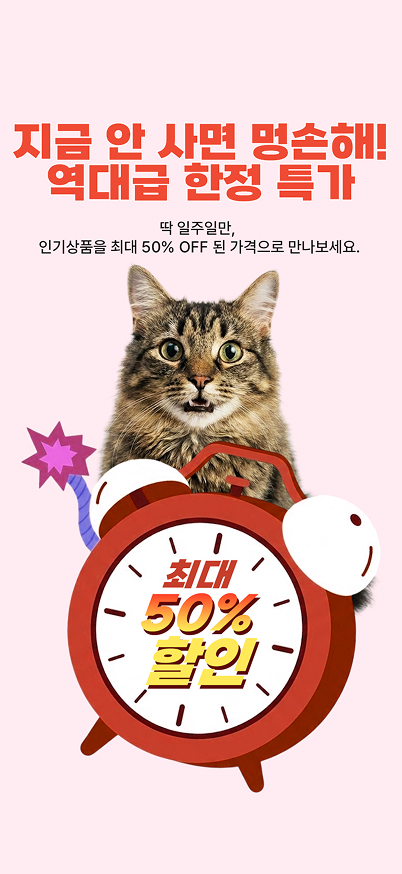 한정특가 이벤트 배너
