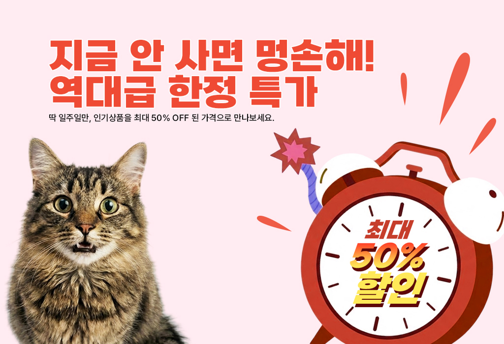 한정특가 이벤트 배너