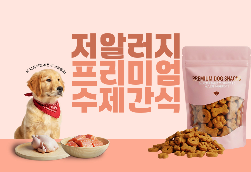 저알러지 프리미엄 수제간식 배너