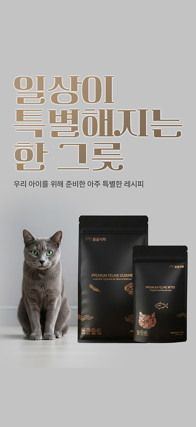 일상이 특별해지는 한 그릇 배너