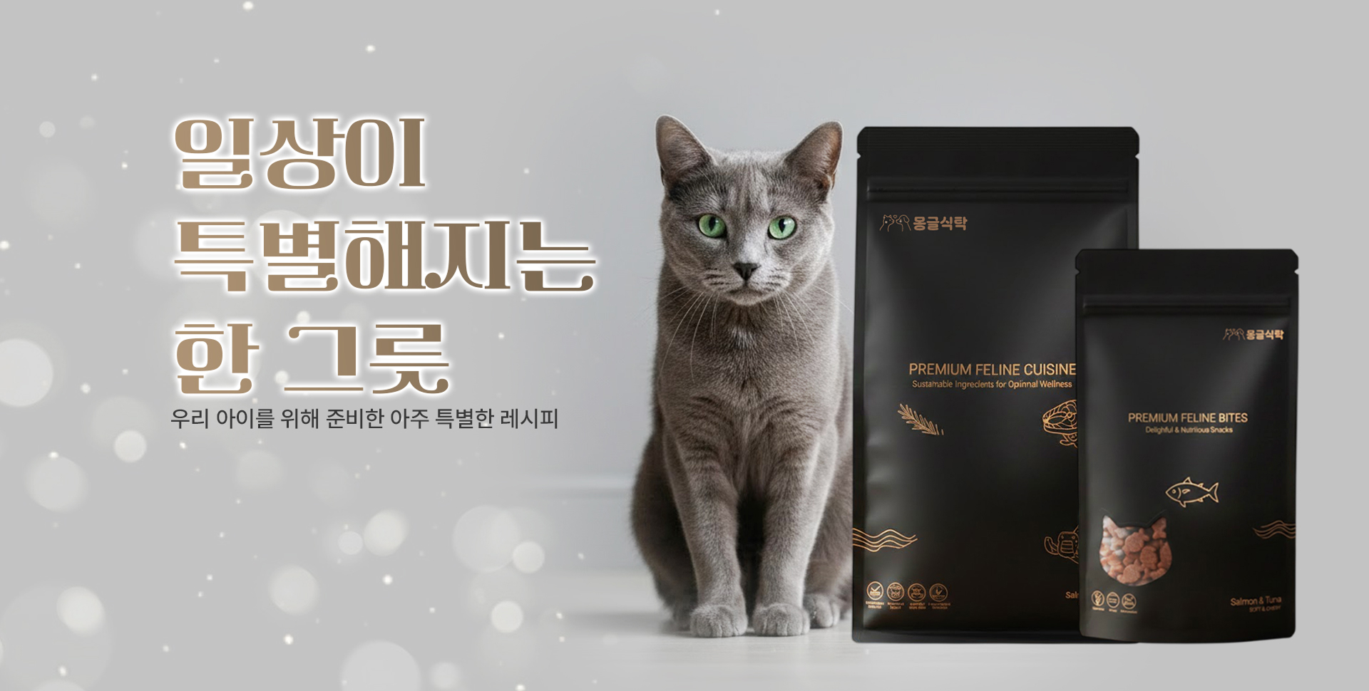 일상이 특별해지는 한 그릇 배너