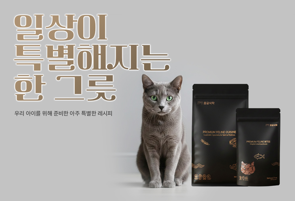 일상이 특별해지는 한 그릇 배너